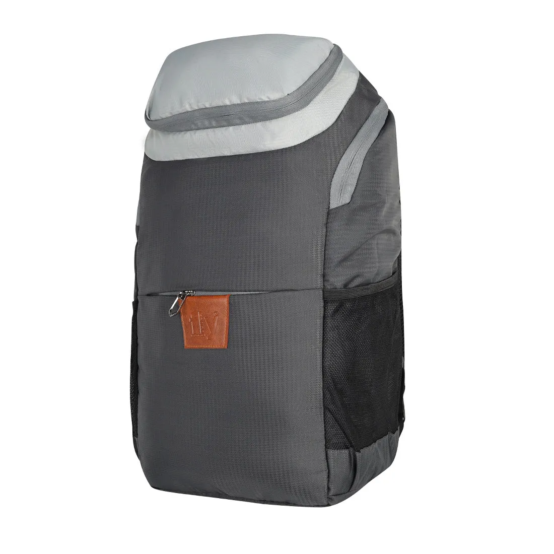 Fly Fashion 20 ltrs Polyester Multi Color Laptop Backpack Rucksack Travel Bag Men Women (Grey)