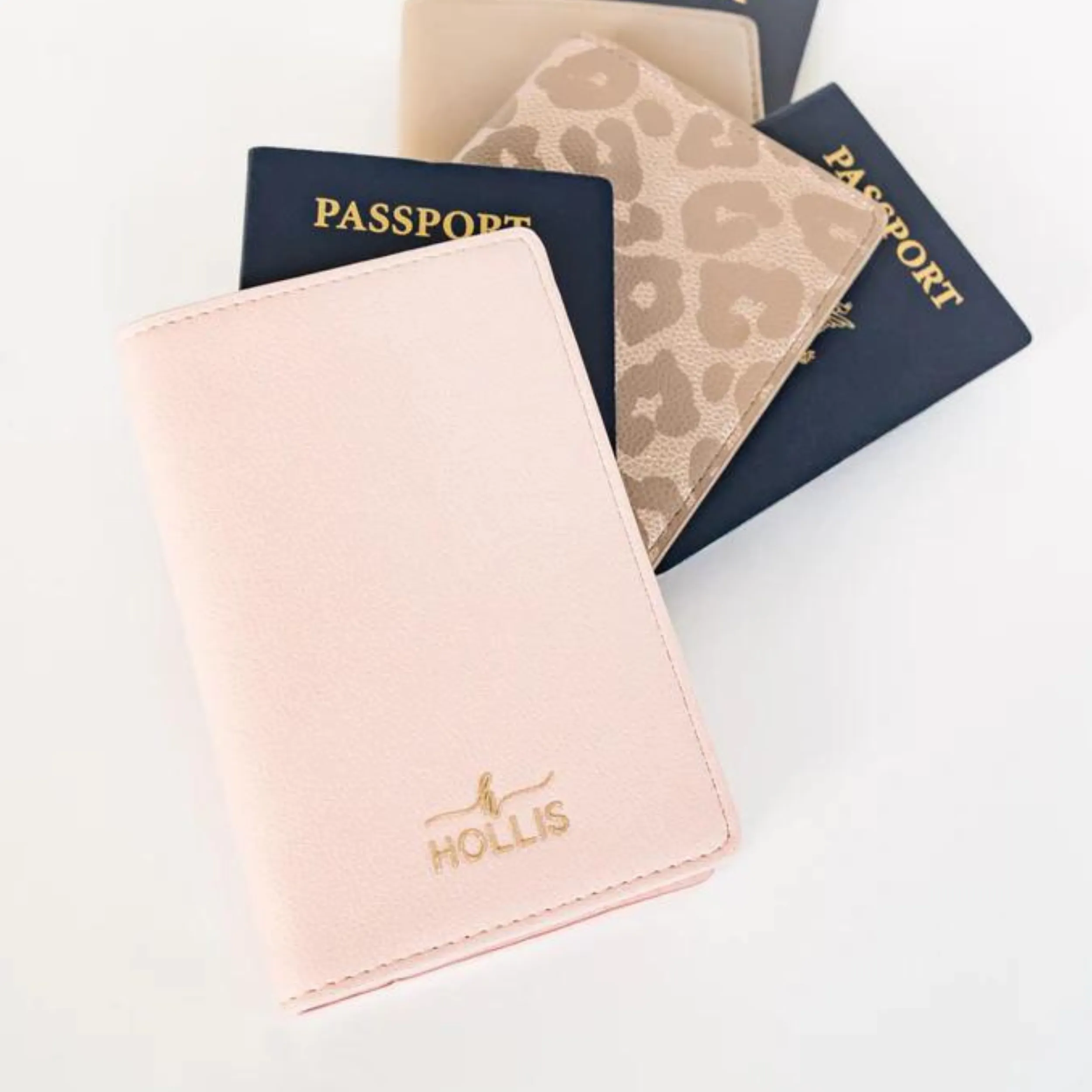 Hollis | Passport Holder in Blush