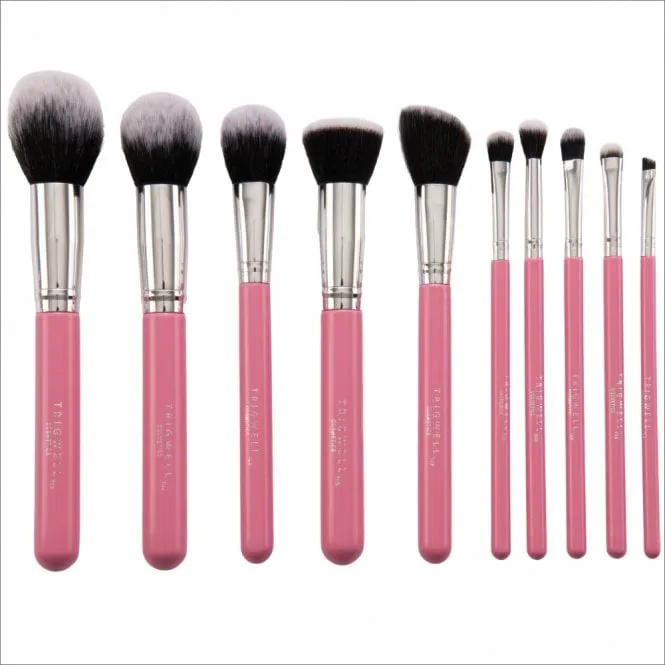 Trigwell Cosmetics 10 Piece Makeup Brush Kit