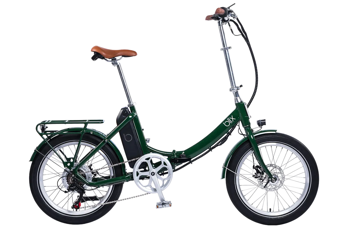 Vika  Flex Folding eBike