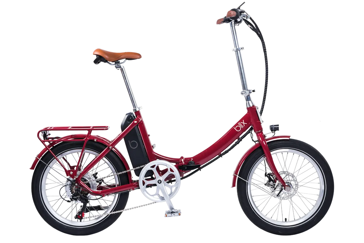 Vika  Flex Folding eBike